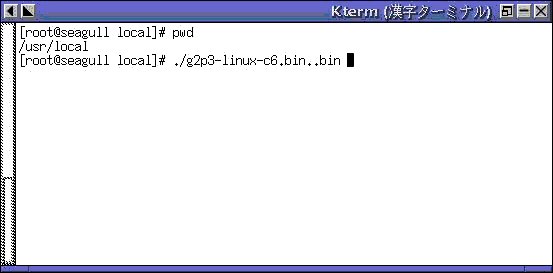 g2p3-linux-c6.bin..binファイルを実行